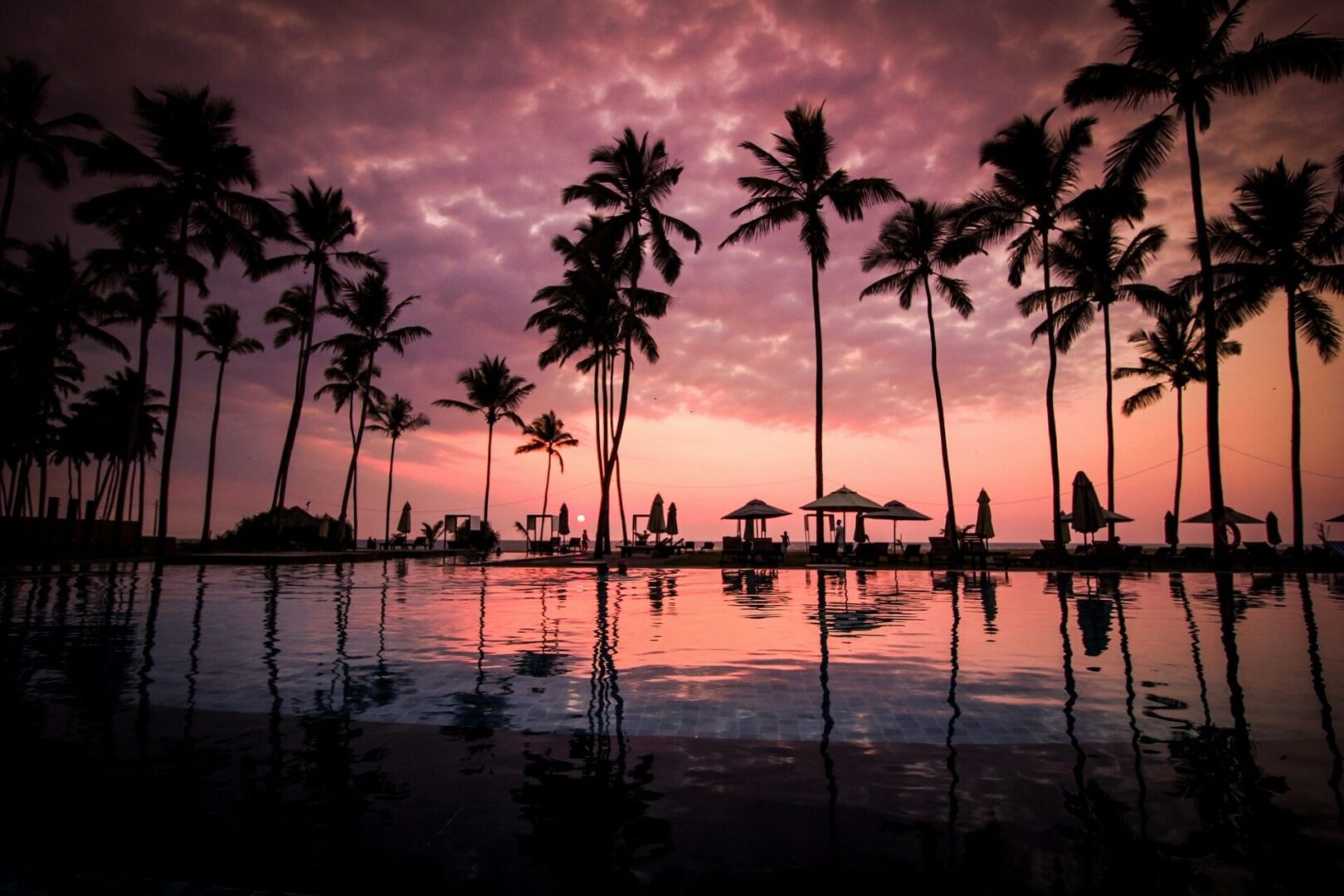 A pink sky with palm trees in the foreground